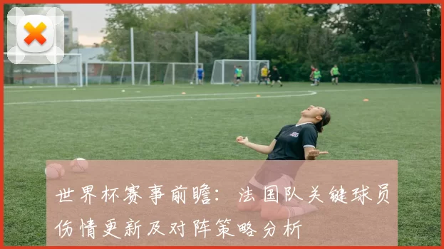 世界杯赛事前瞻:法国队关键球员伤情更新及对阵策略分析
