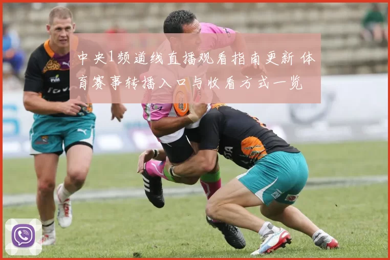 中央1频道线直播观看指南更新 体育赛事转播入口与收看方式一览