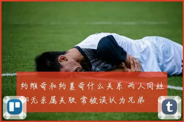 约维奇和约基奇什么关系 两人同姓却无亲属关联 常被误认为兄弟