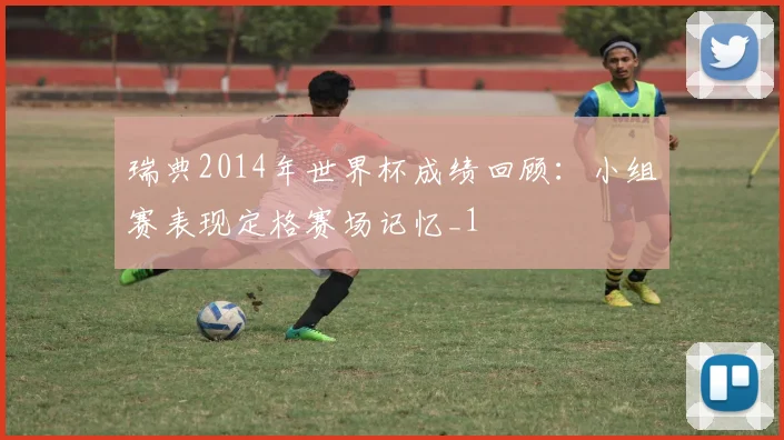 瑞典2014年世界杯成绩回顾：小组赛表现定格赛场记忆_1
